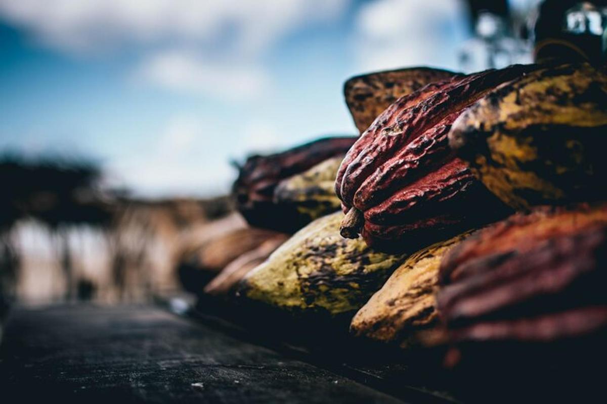 a bunch of bananas sitting on a table