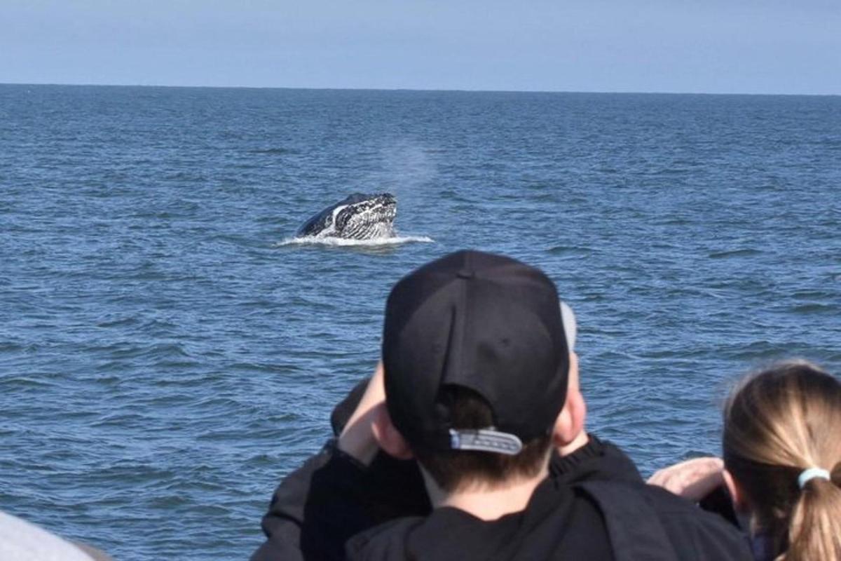 a man and a woman looking at an animal in the water