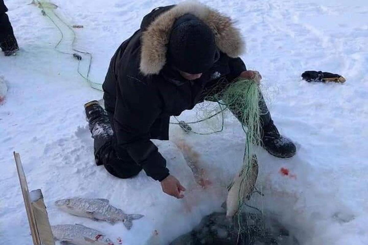 Lankytinos vietos ar pramogos nuotrauka numeris 2