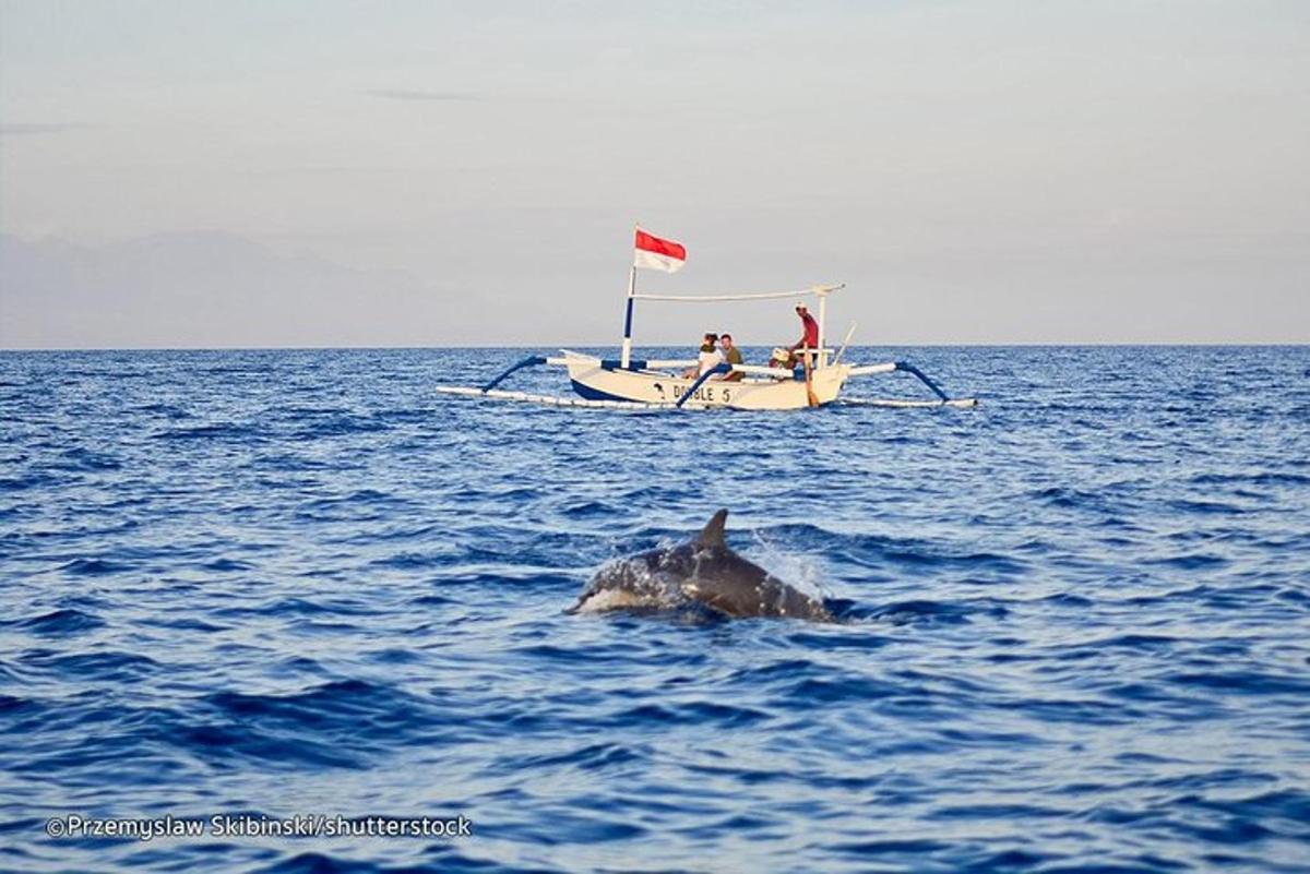 una balena che nuota nell'acqua accanto a una barca