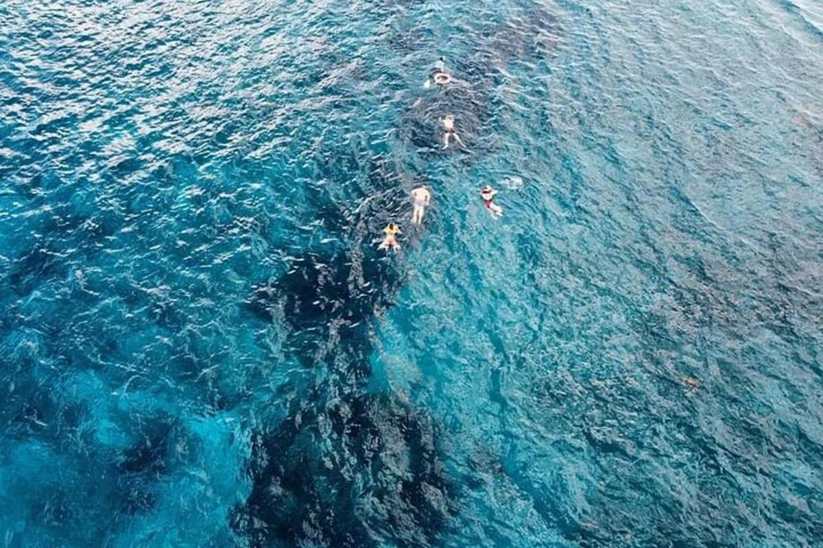 un grupo de personas nadando en el océano