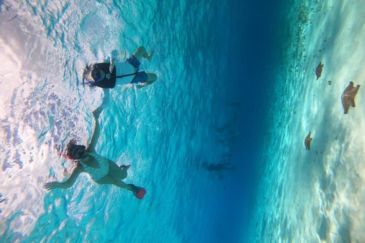 sekumpulan orang berenang di dalam air
