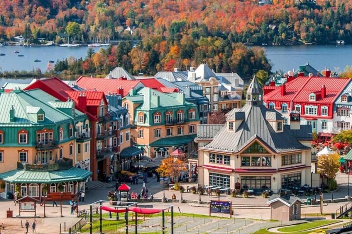 une vue aérienne d'une petite ville avec un lac