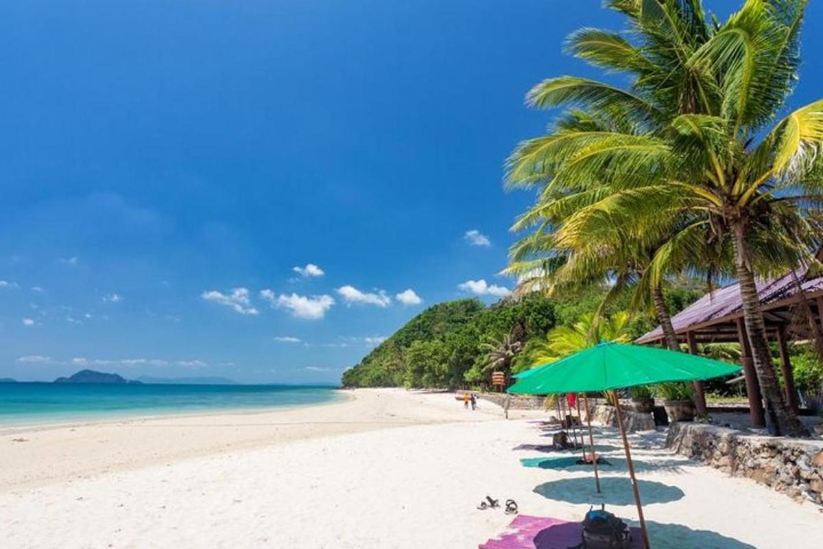 plaża z zielonym parasolem i palmami