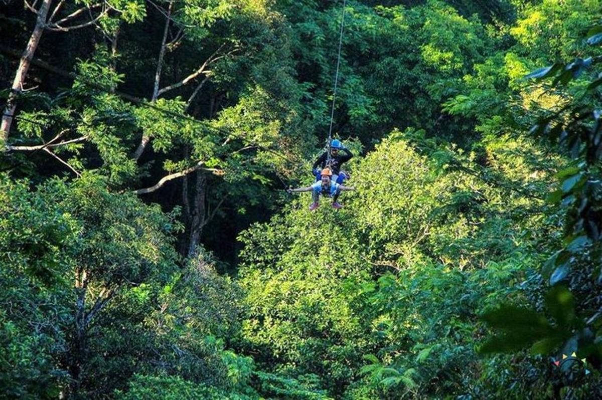 seseorang di jalur zipline melewati pepohonan