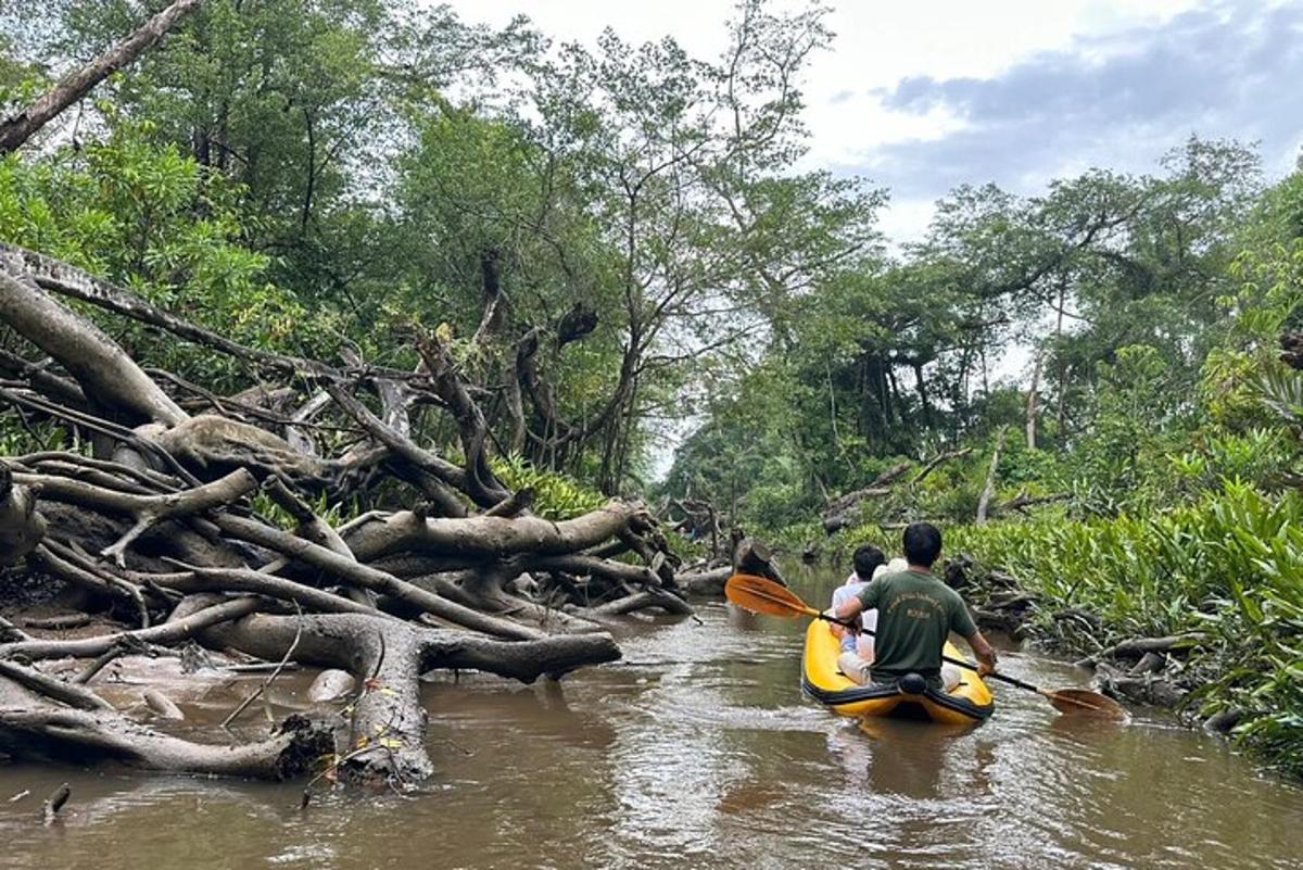 zwei Personen in Kajaks in einem Fluss mit Bäumen