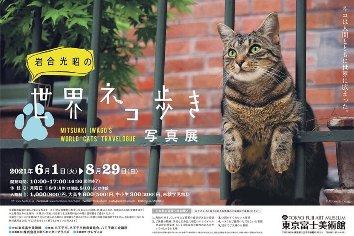 景點／活動相片 7