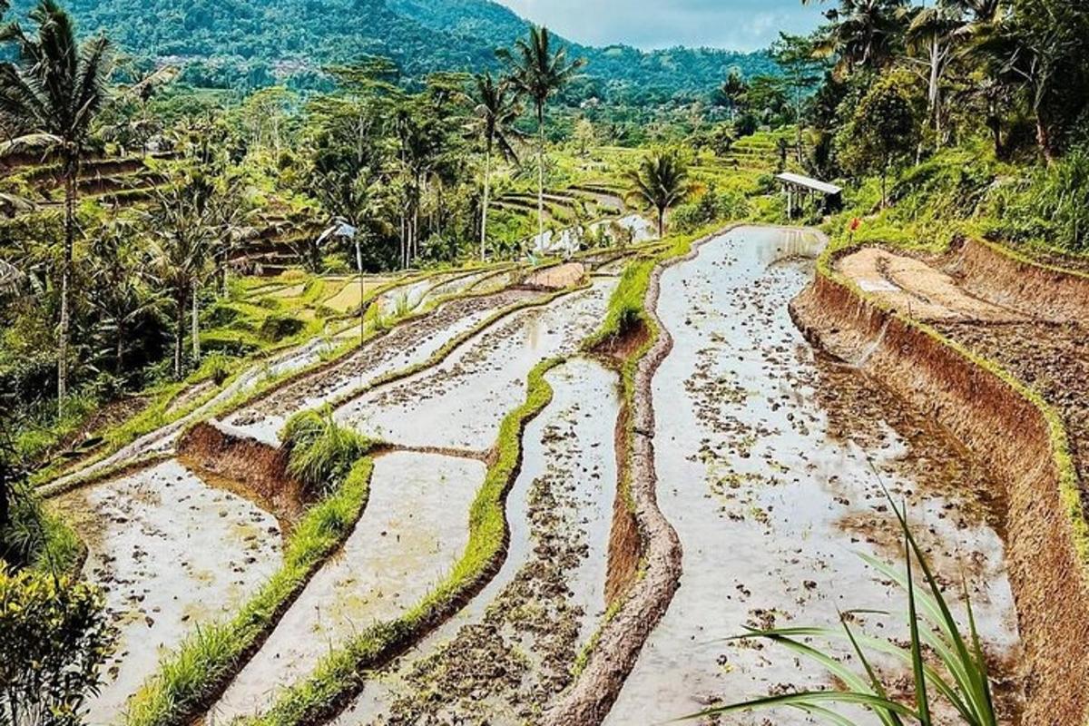 một con đường đất có cỏ ở sườn đồi