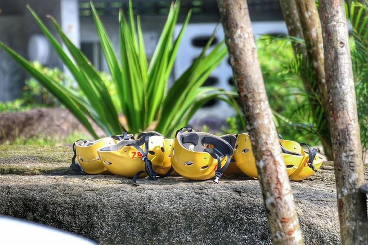 en gruppe bananer som sitter på toppen av en stein