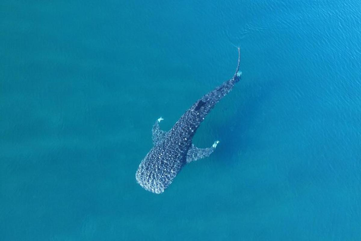 Fotografia da atração 3