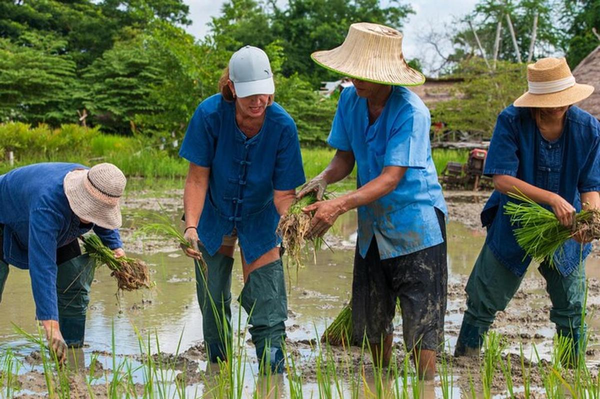 Ảnh thứ 1 về địa điểm tham quan