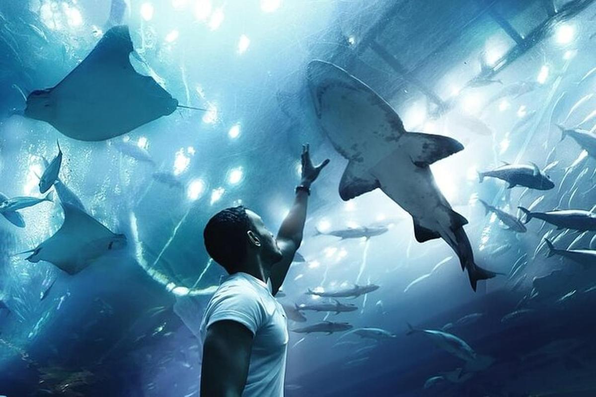 a man is looking at fish in an aquarium