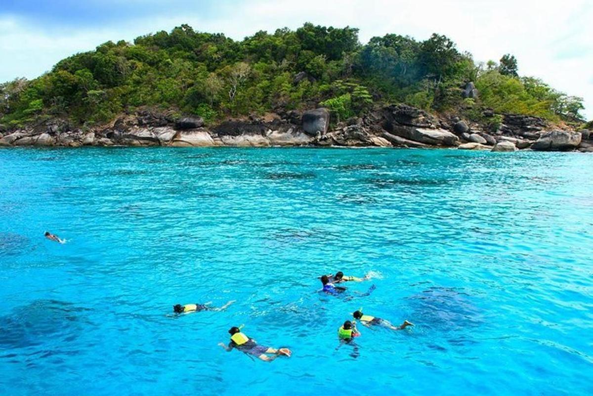 sekelompok orang yang sedang berenang di air