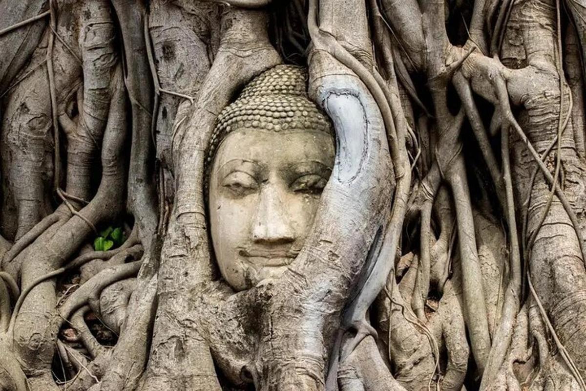 una statua di una testa impigliata nelle radici di un albero