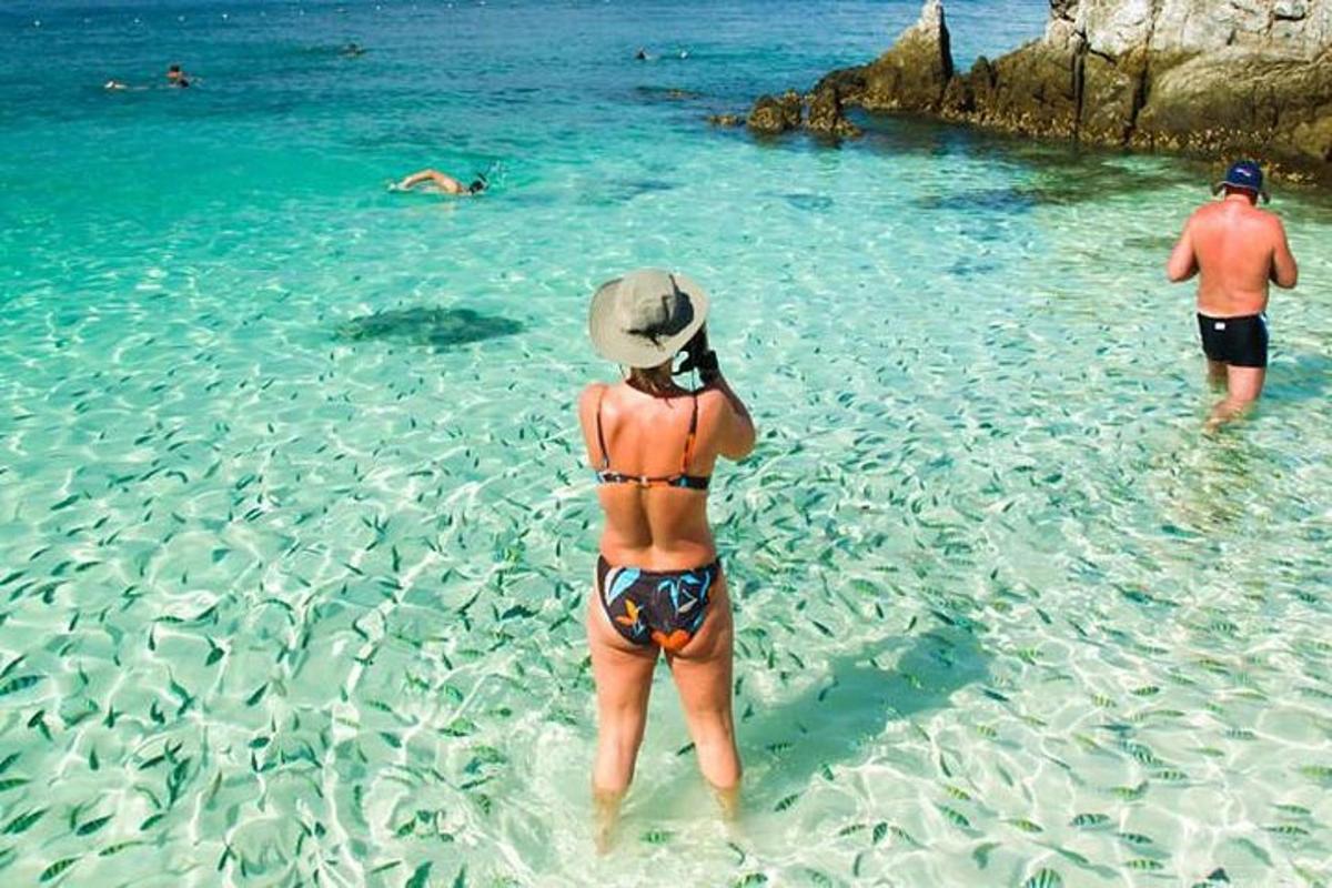 ženska, ki stoji v vodi na plaži