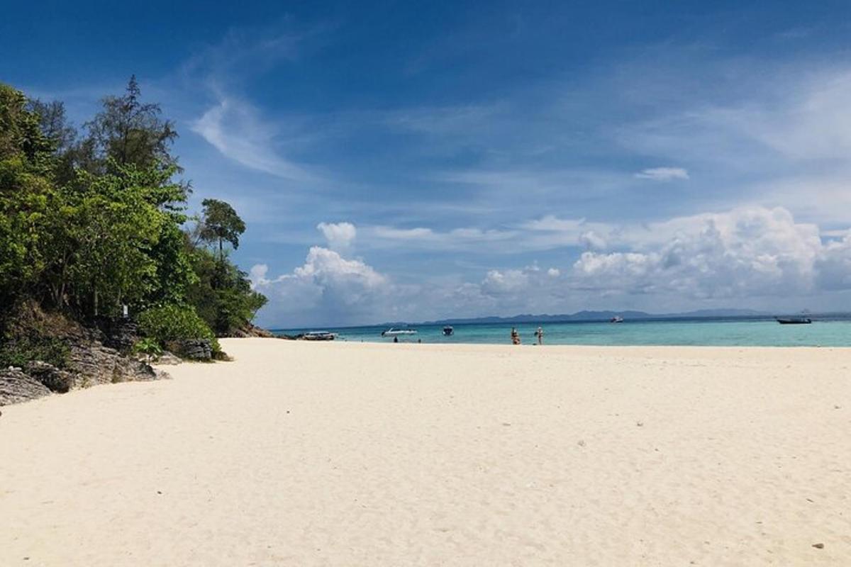 una platja de sorra amb gent a l'aigua