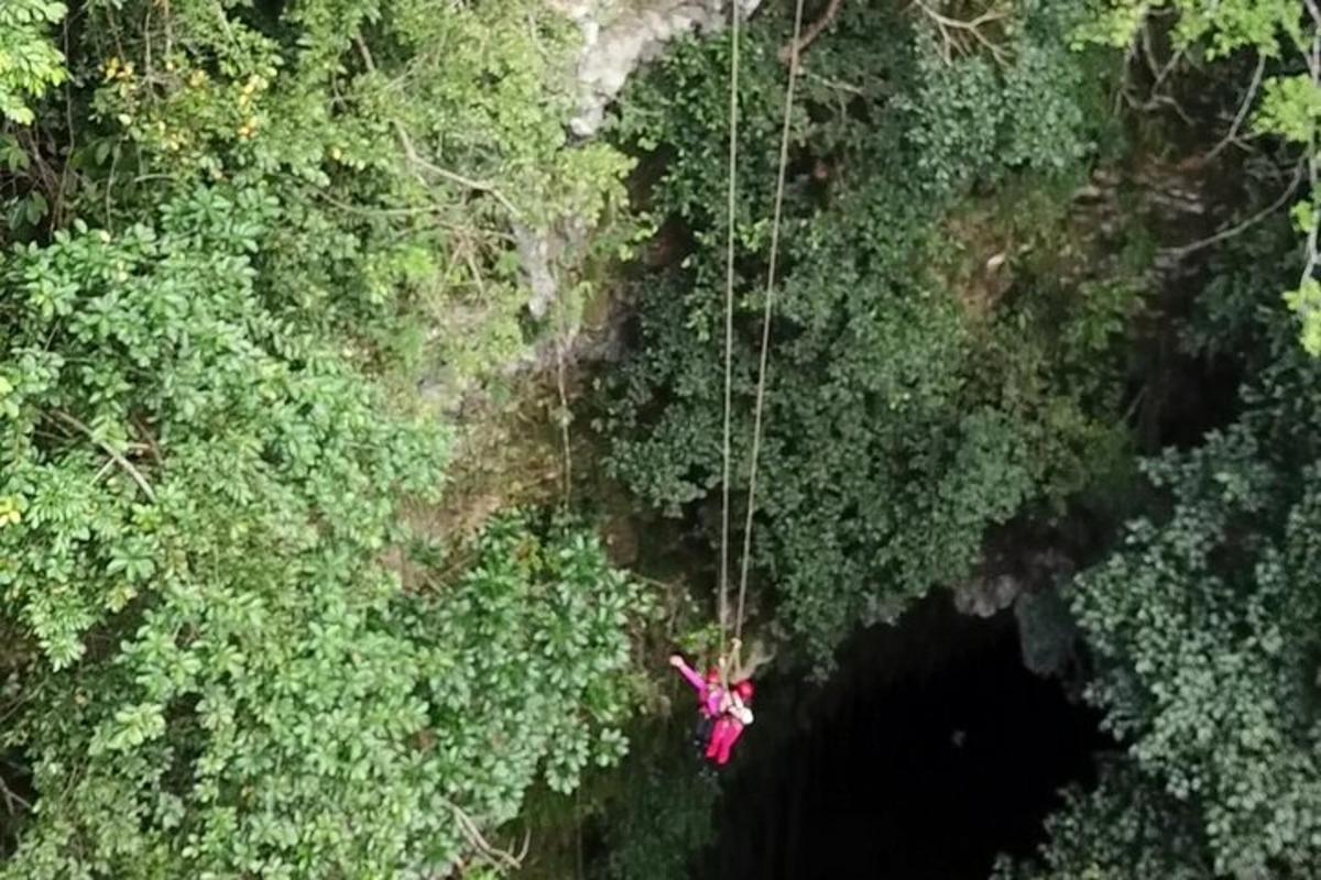 pemandangan atas bunga merah jambu pada tali di dalam hutan