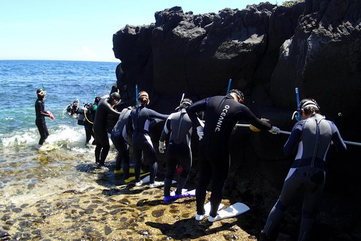 Lankytinos vietos ar pramogos nuotrauka numeris 5