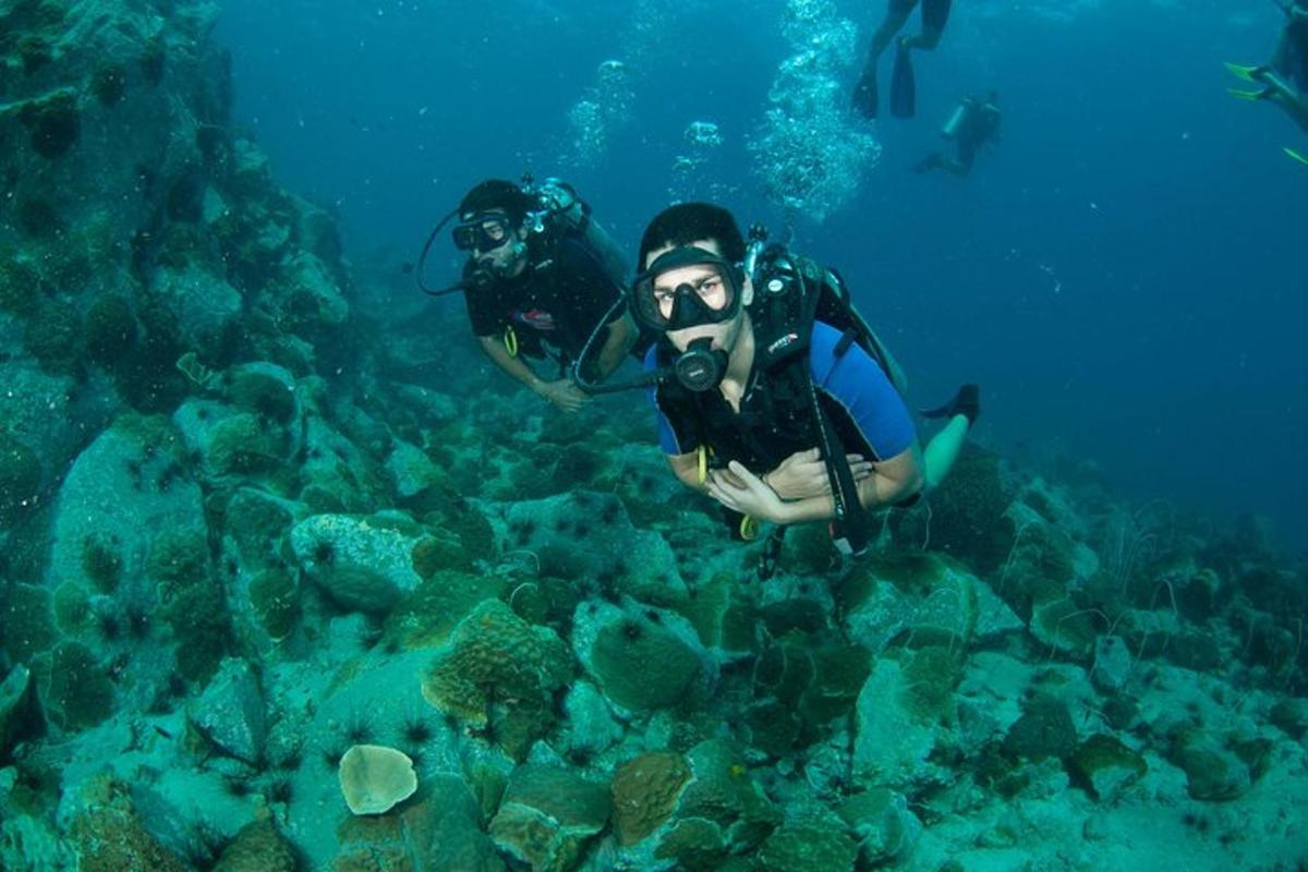 Turistik nokta fotoğrafı 2