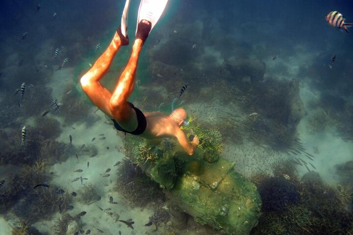 Lankytinos vietos ar pramogos nuotrauka numeris 2