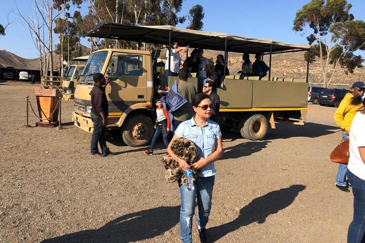 un ragazzino che tiene in mano un uccello davanti a un camion
