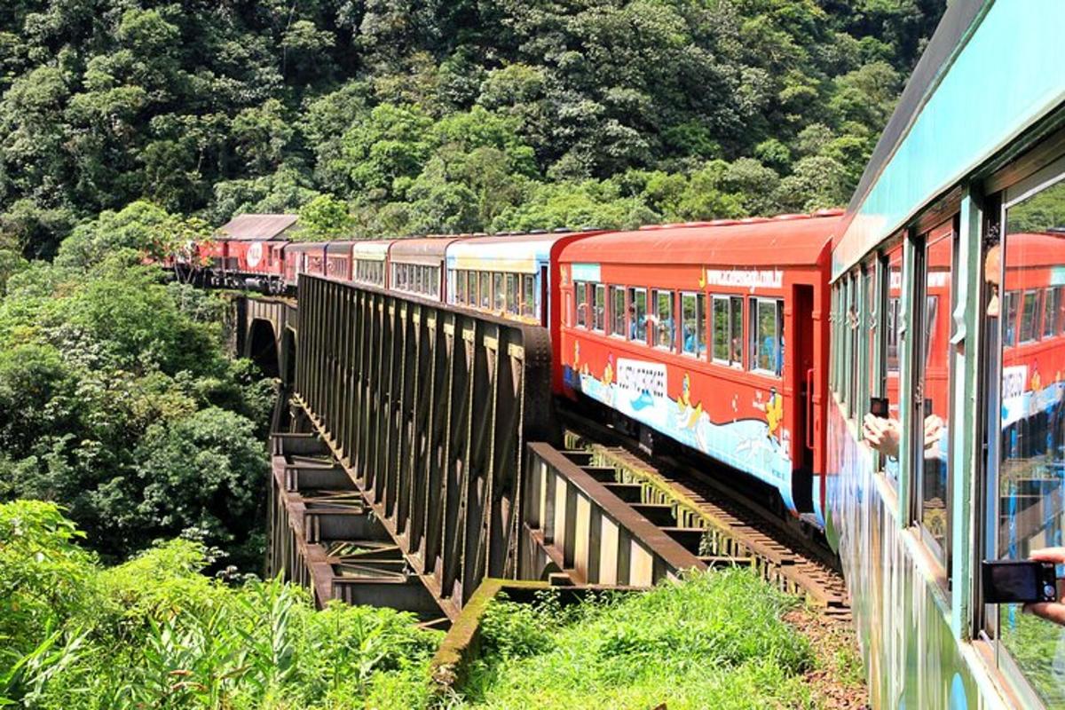 Fotografia da atração 1