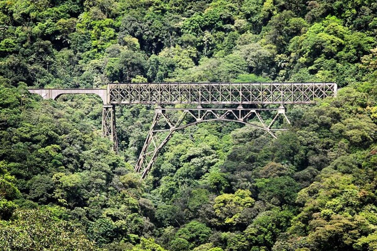 Fotografia da atração 2