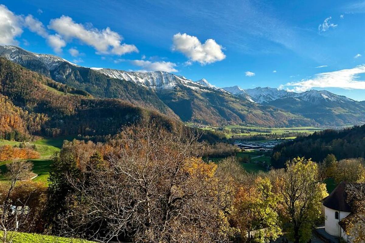 utsikt over en dal med fjell i bakgrunnen