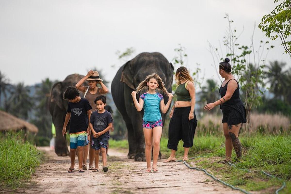 a group of people walking down a dirt road with an elephant