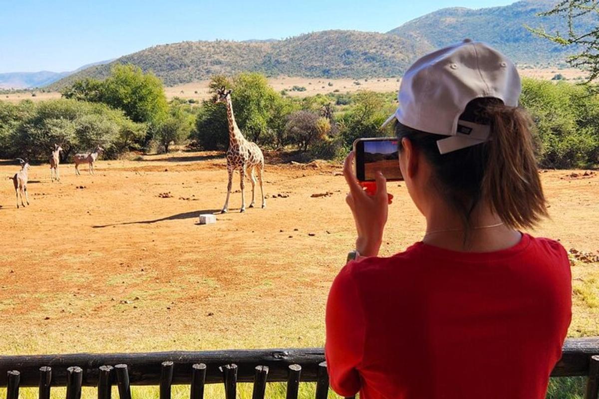 Fotografie atrakce č. 2