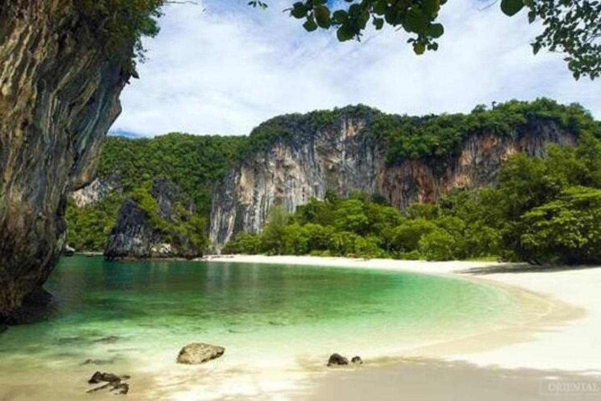 pantai dengan air hijau dan batu dan pokok