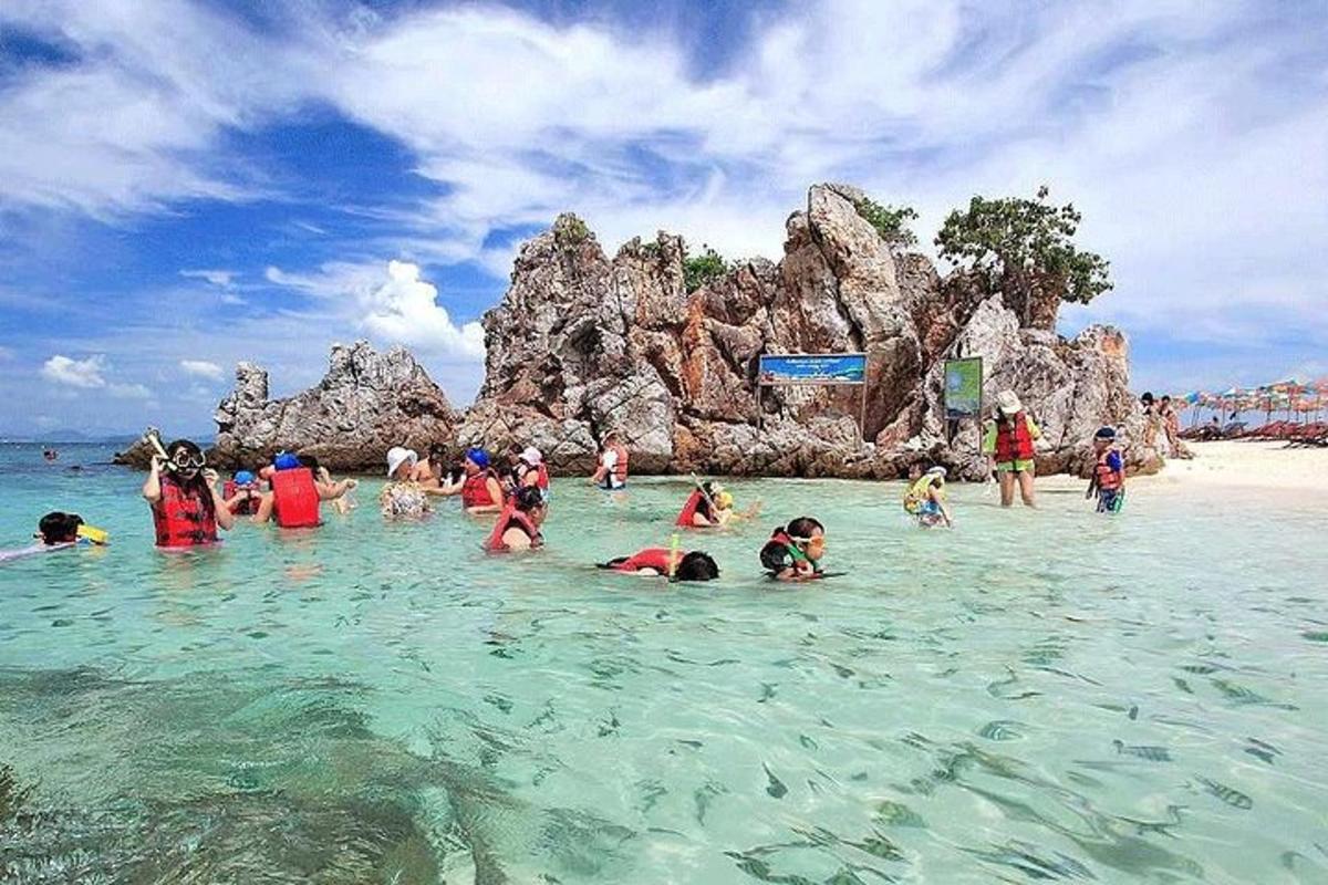 một nhóm người ở dưới nước tại bãi biển