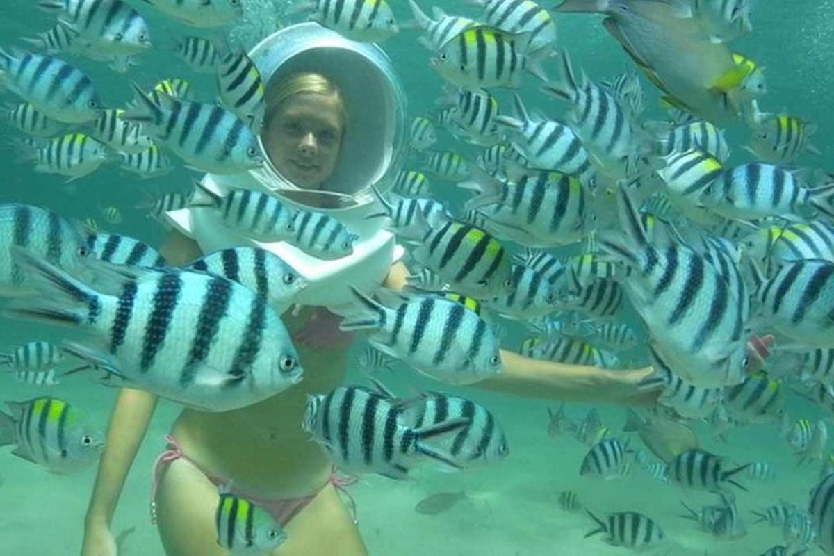 a young girl is looking at fish in the water