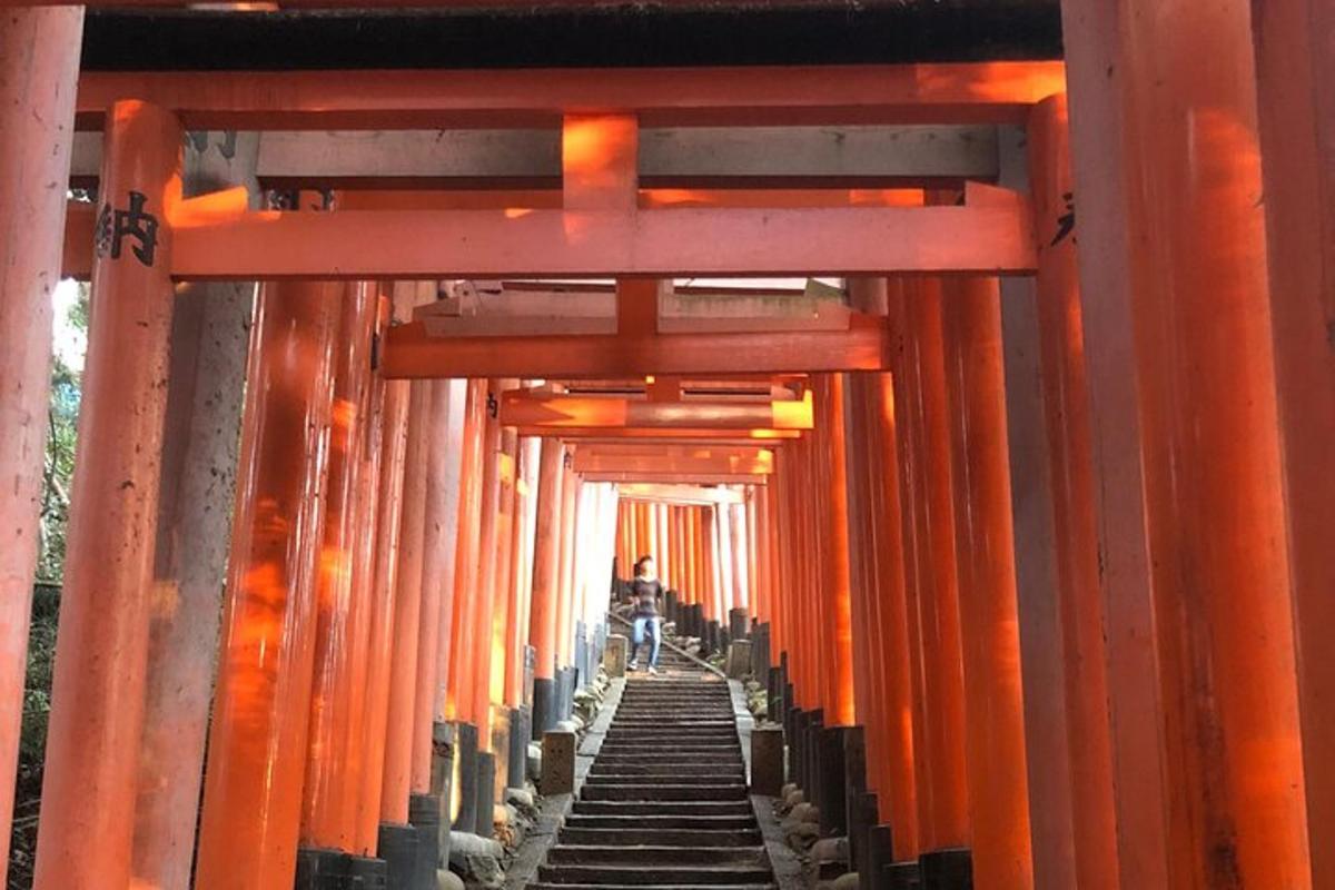 narancssárga torii kapuk folyosója egy szentélyben