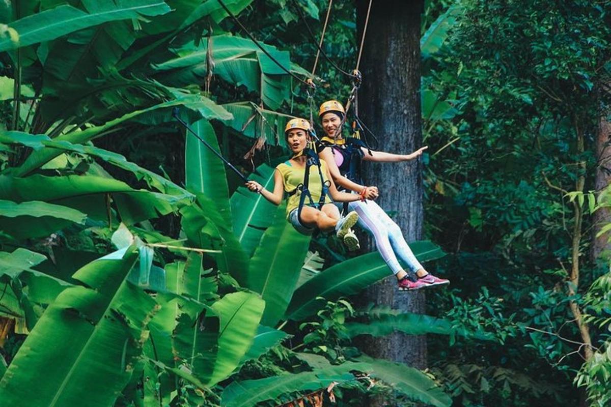 deux personnes assises sur un arbre dans la jungle