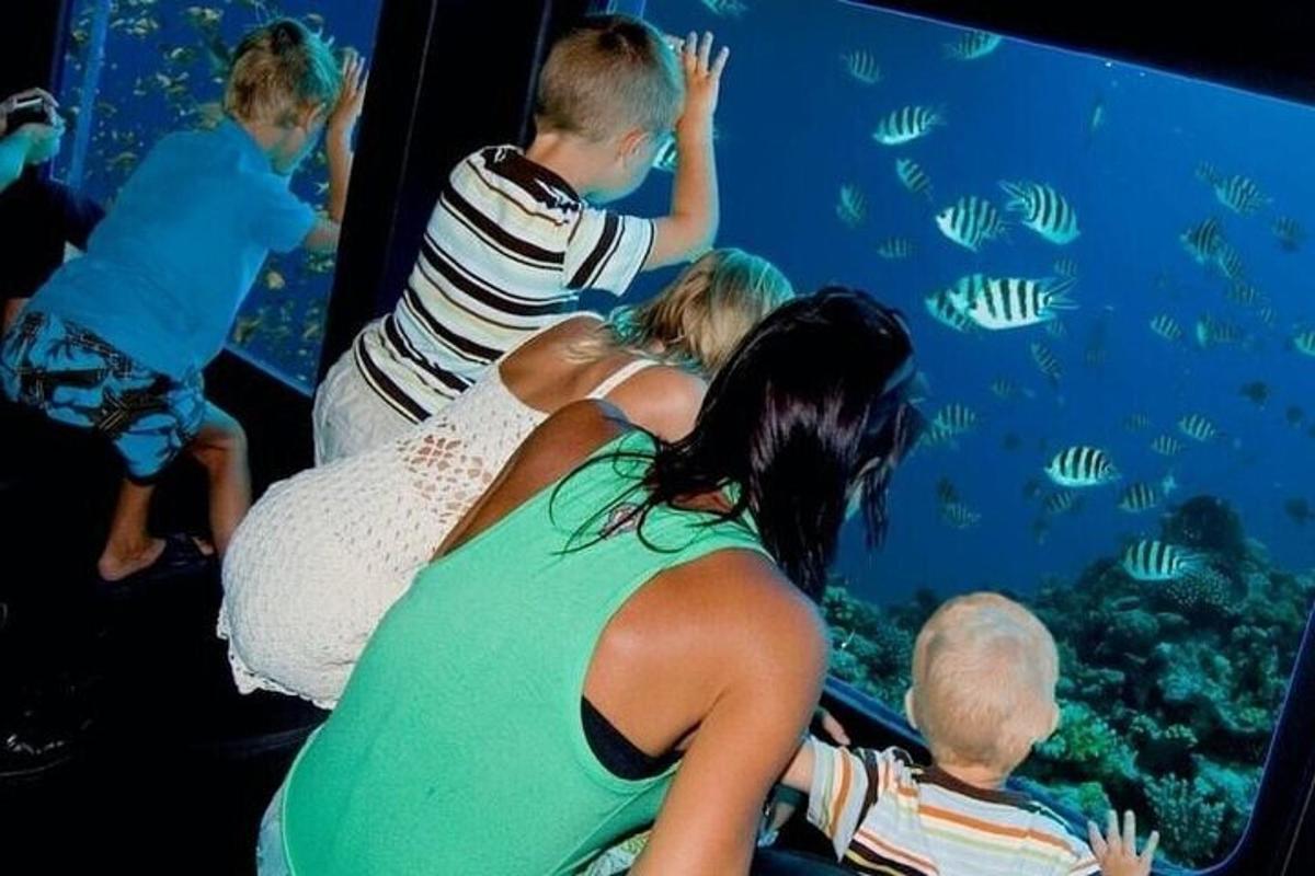 un gruppo di persone che osservano i pesci in un acquario
