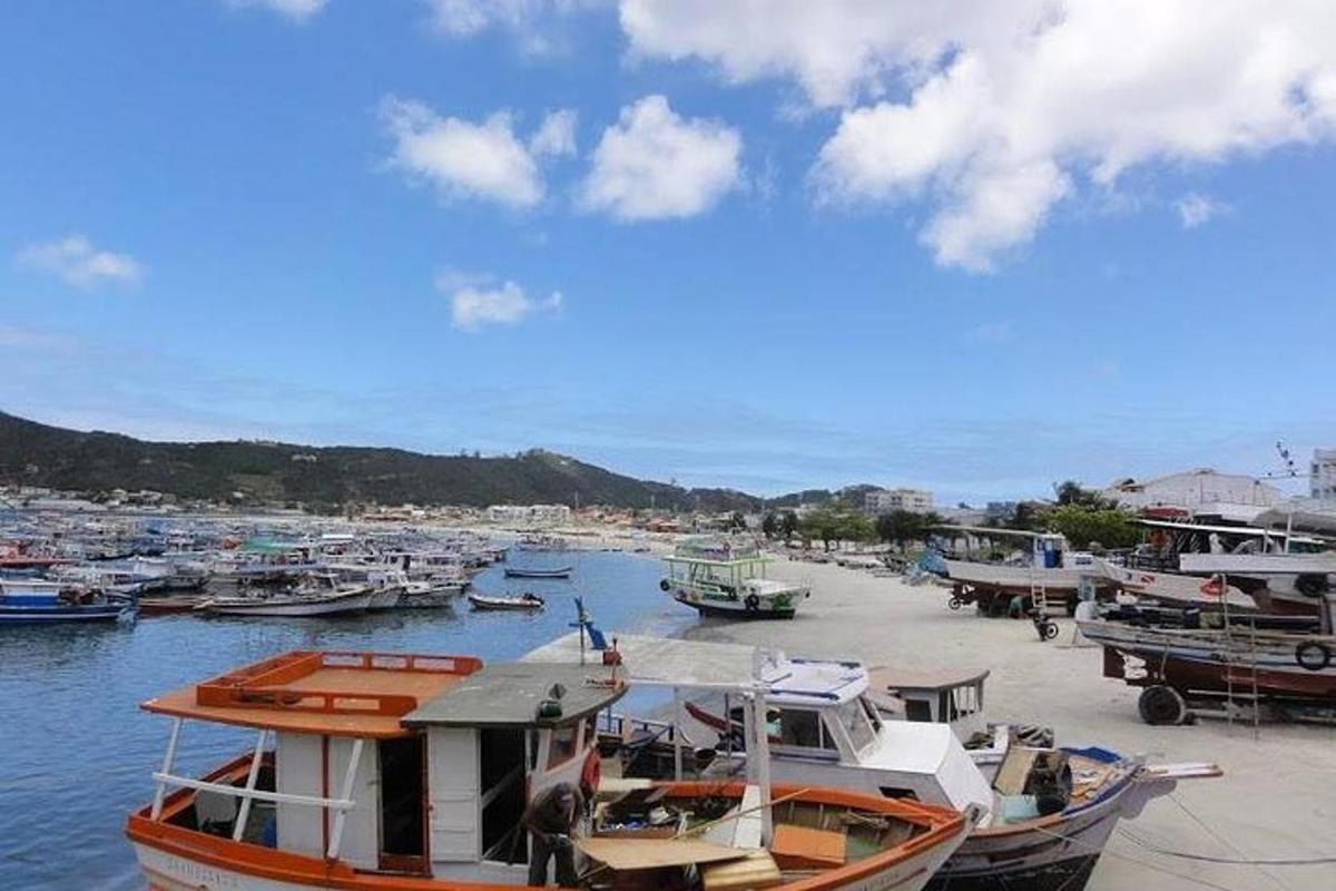 un munt de vaixells estan atracats en un port
