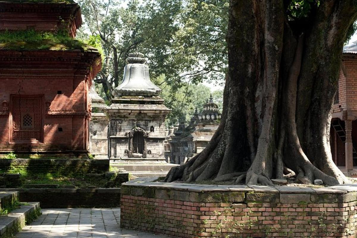 um templo com uma árvore e um grande sino