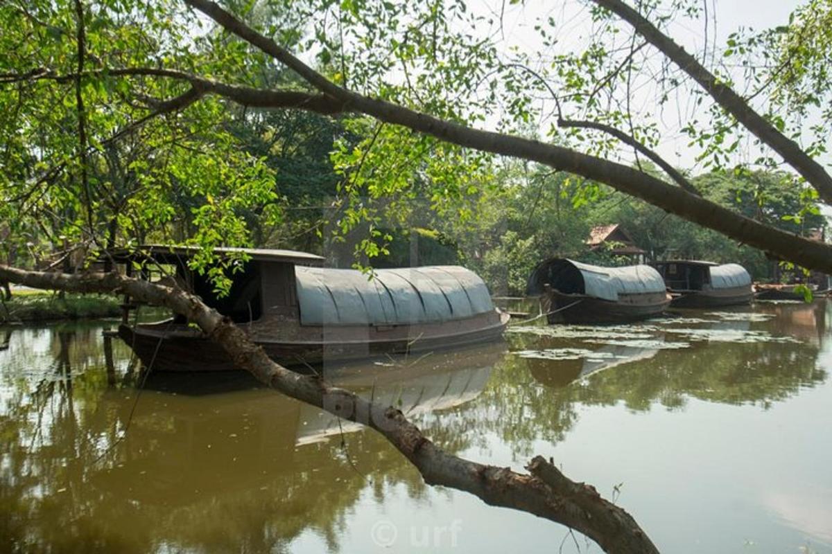 un grupo de barcos estacionados en el agua