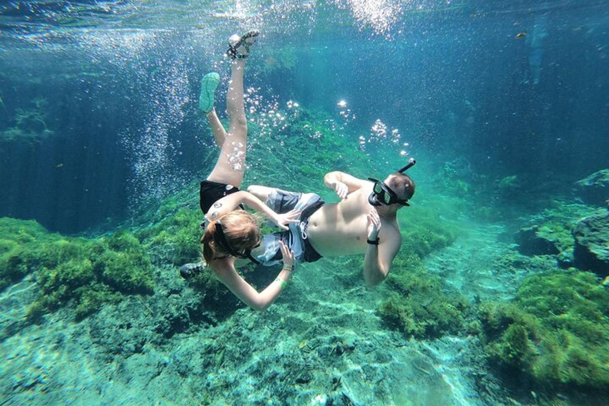 dua orang berenang di dalam air di lautan