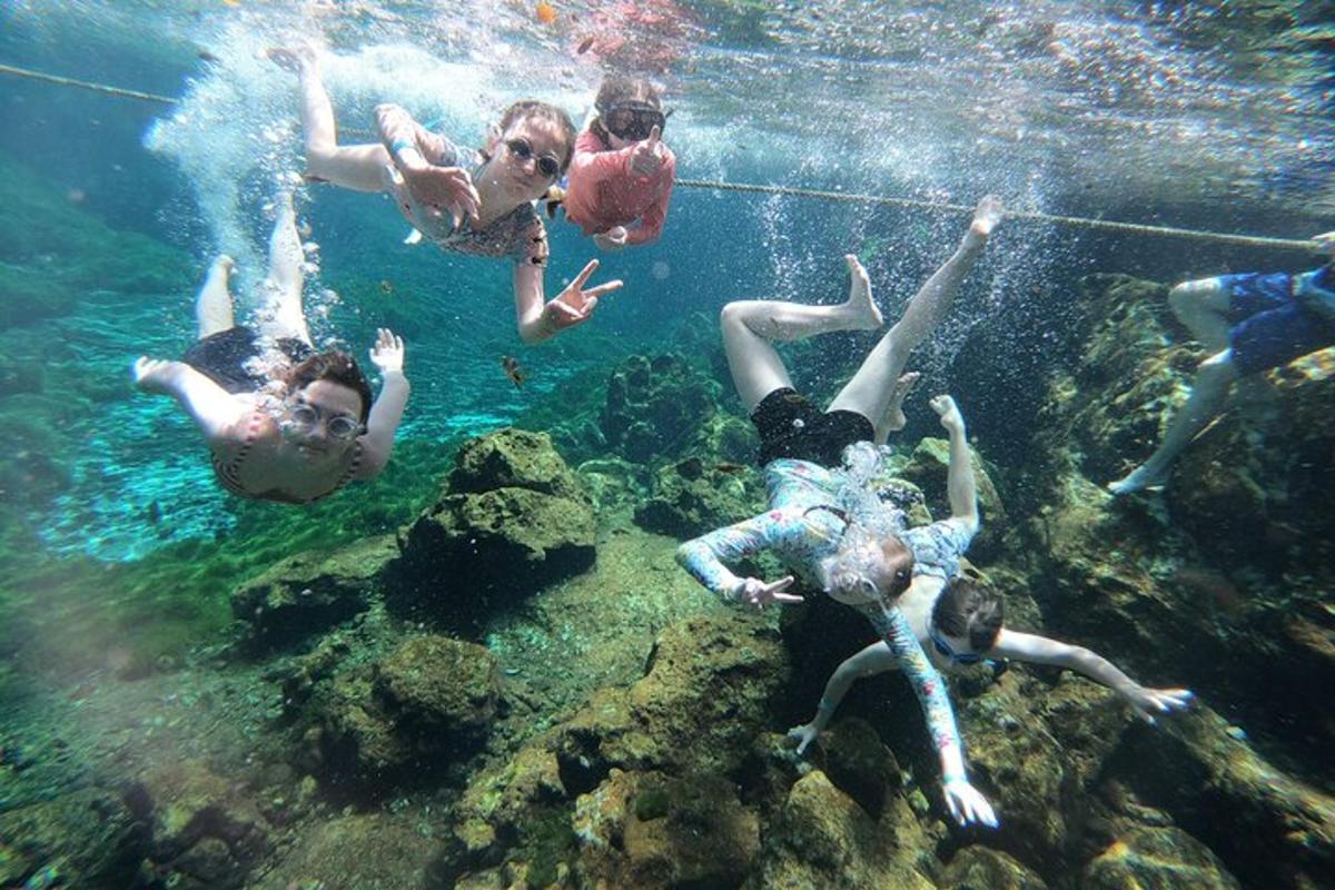 sekumpulan orang berenang di dalam air