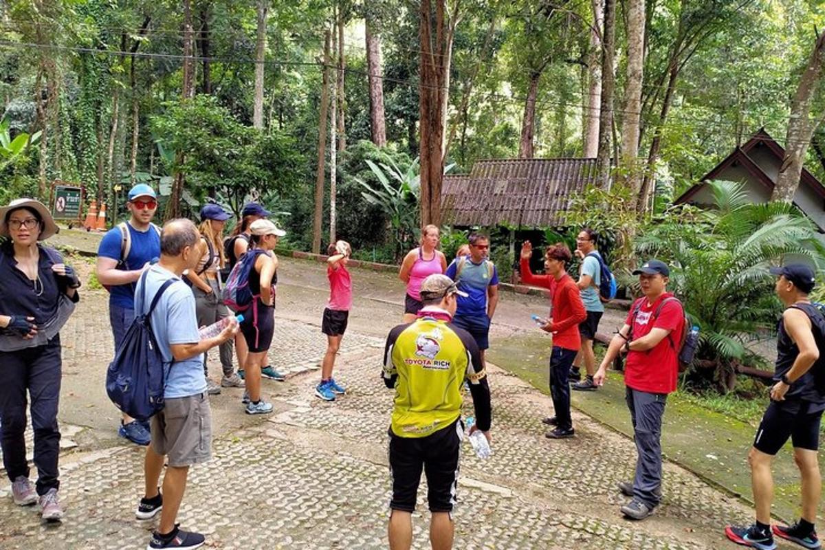 Un grupo de personas de pie en un bosque.