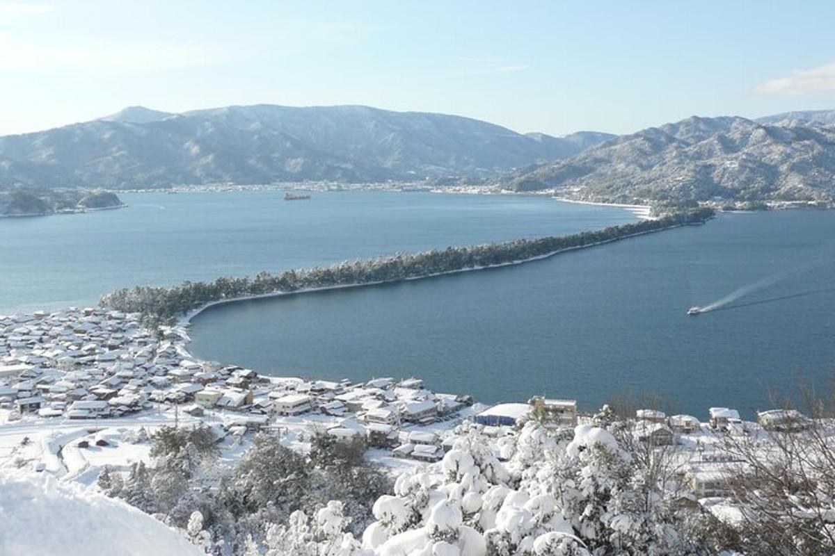 μια θέα ενός υδάτινου σώματος με χιονισμένα δέντρα
