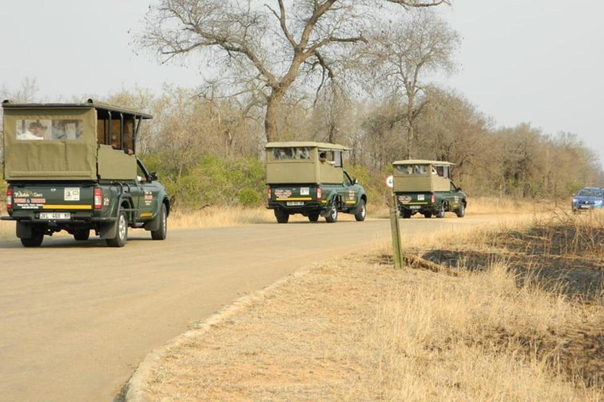 two military trucks driving down a road