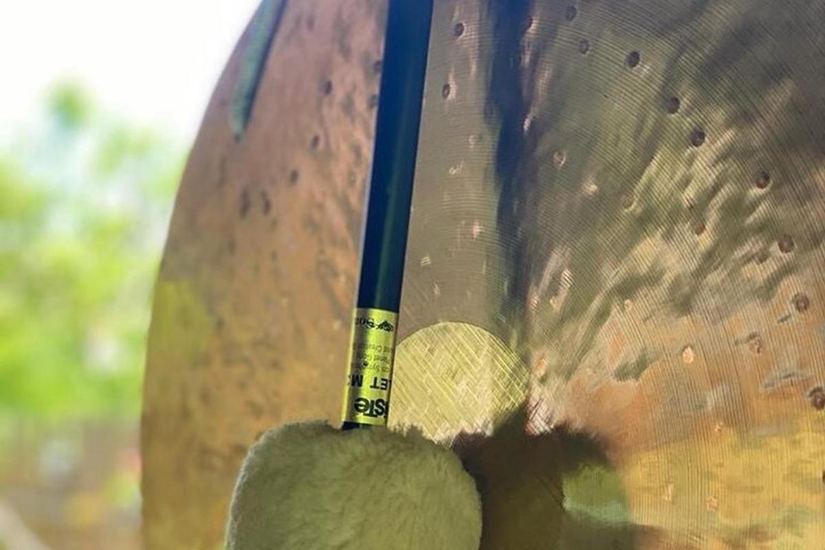 a person holding a baseball bat with