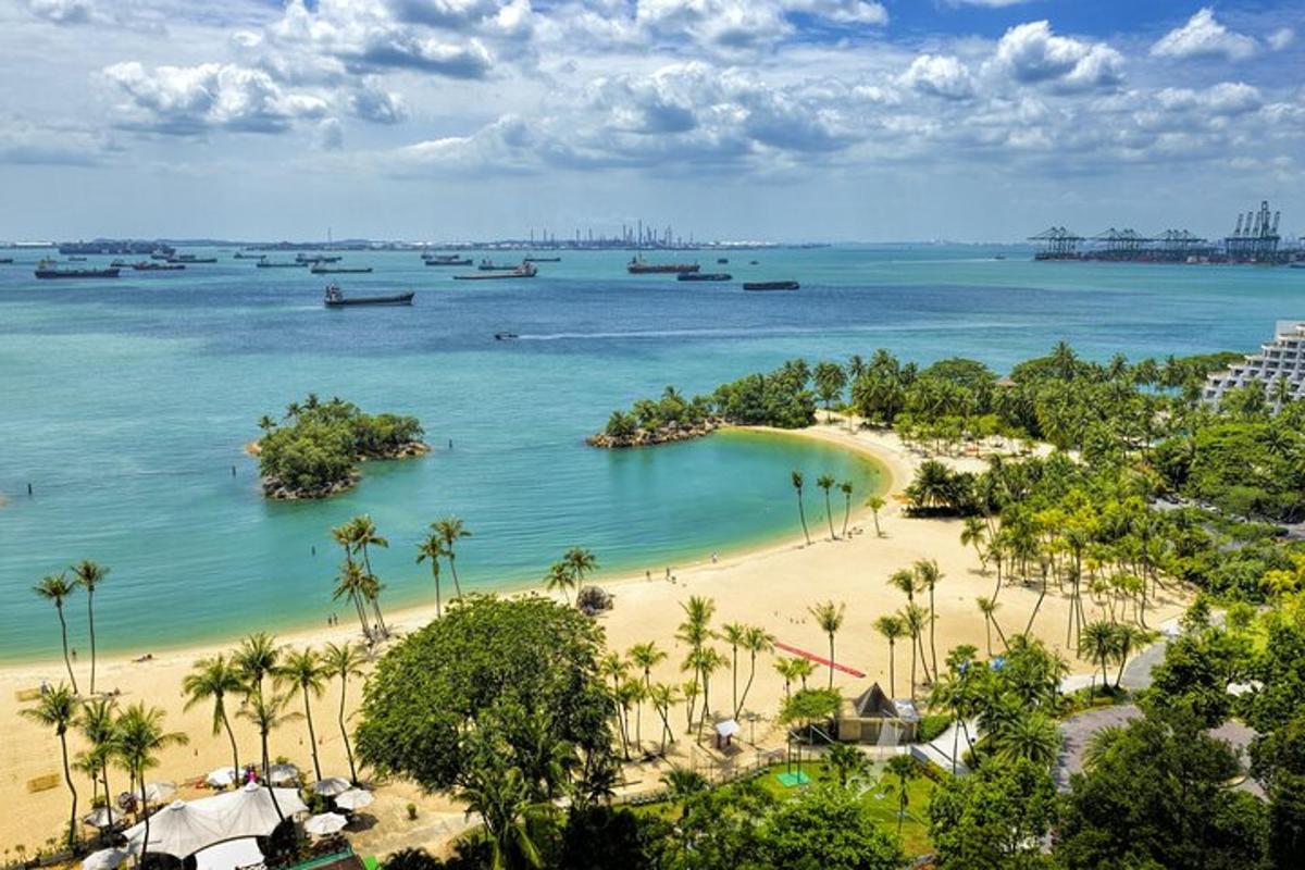 una playa con palmeras y barcos en el agua