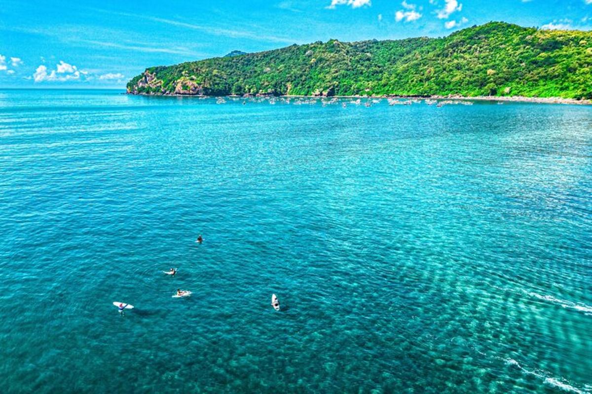 a group of people swimming in a large body of water