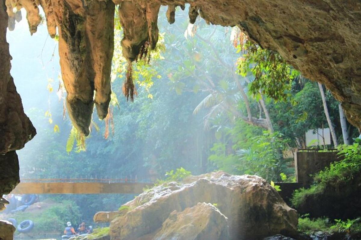 ein Blick aus dem Inneren einer Höhle