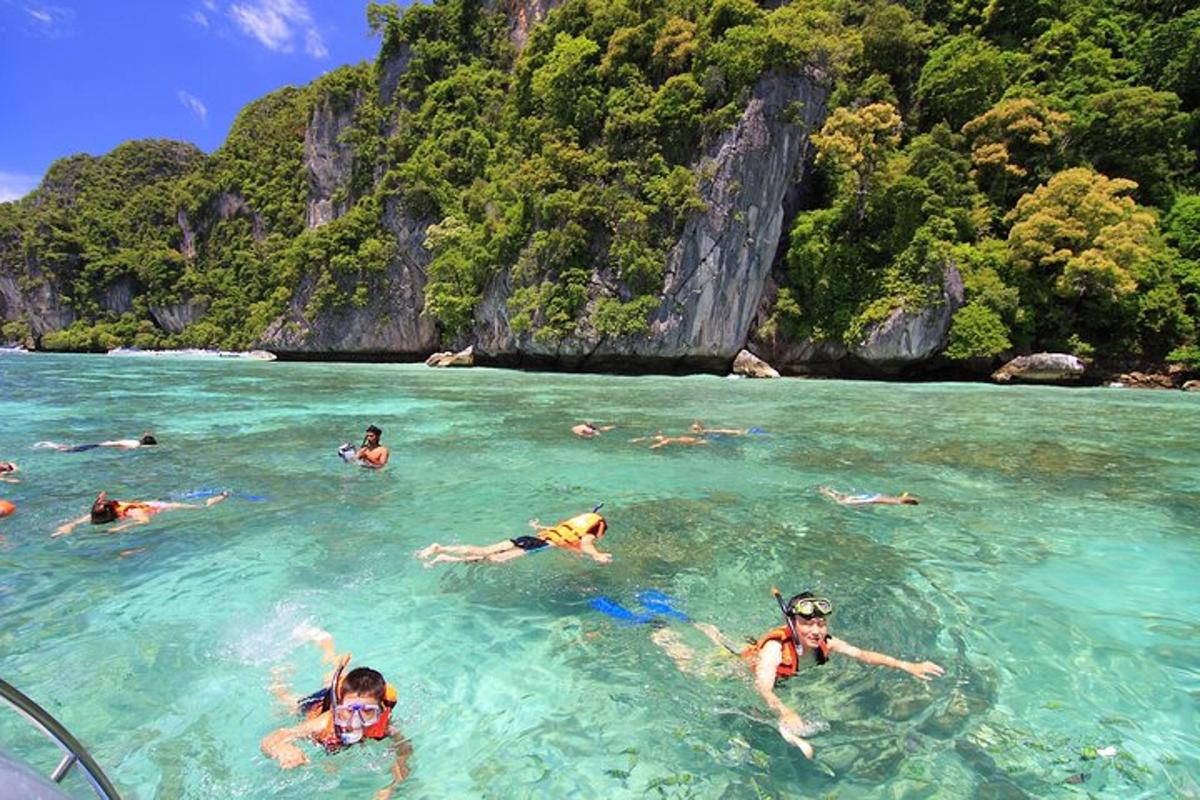 un grupo de personas nadando en el agua