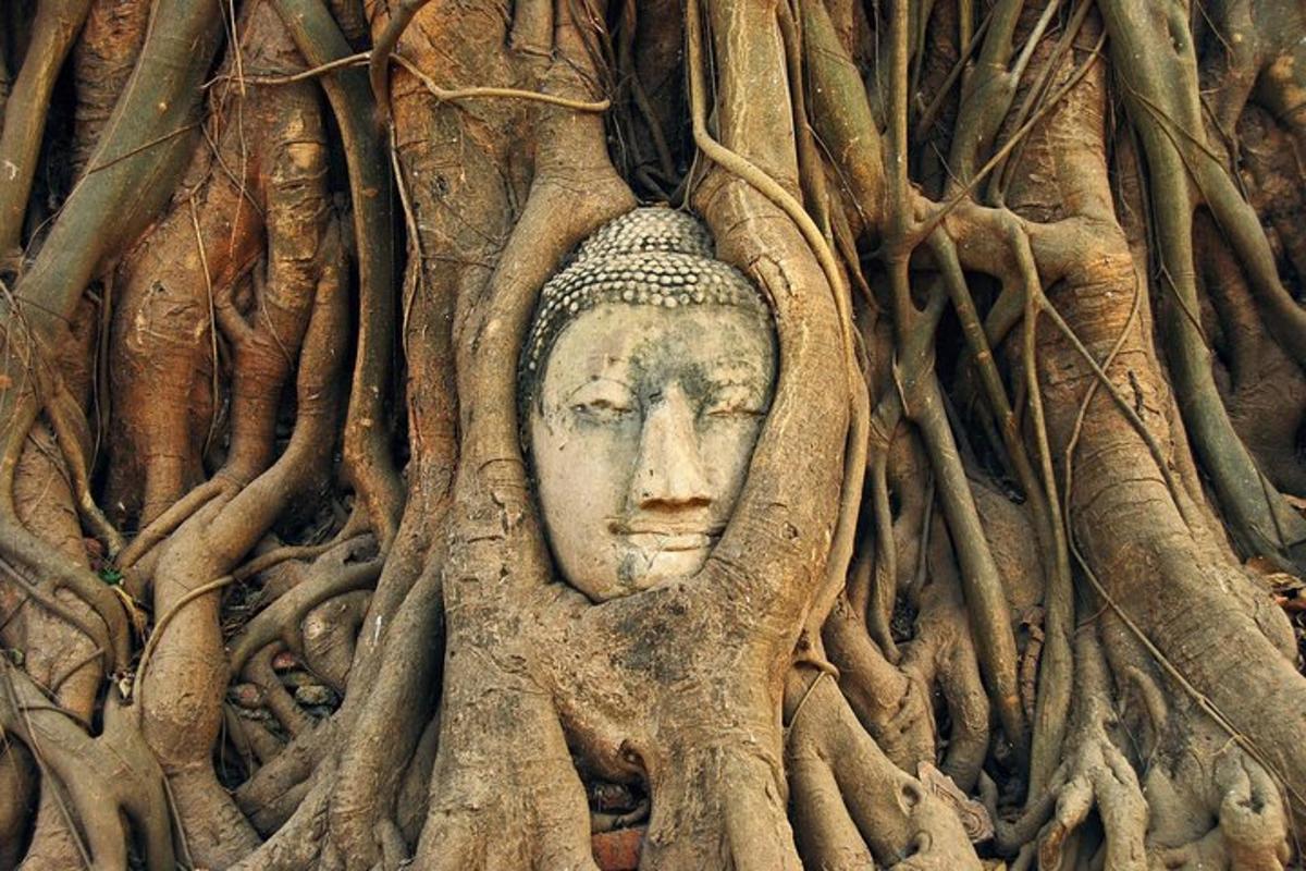 patung yang diselubungi akar pokok